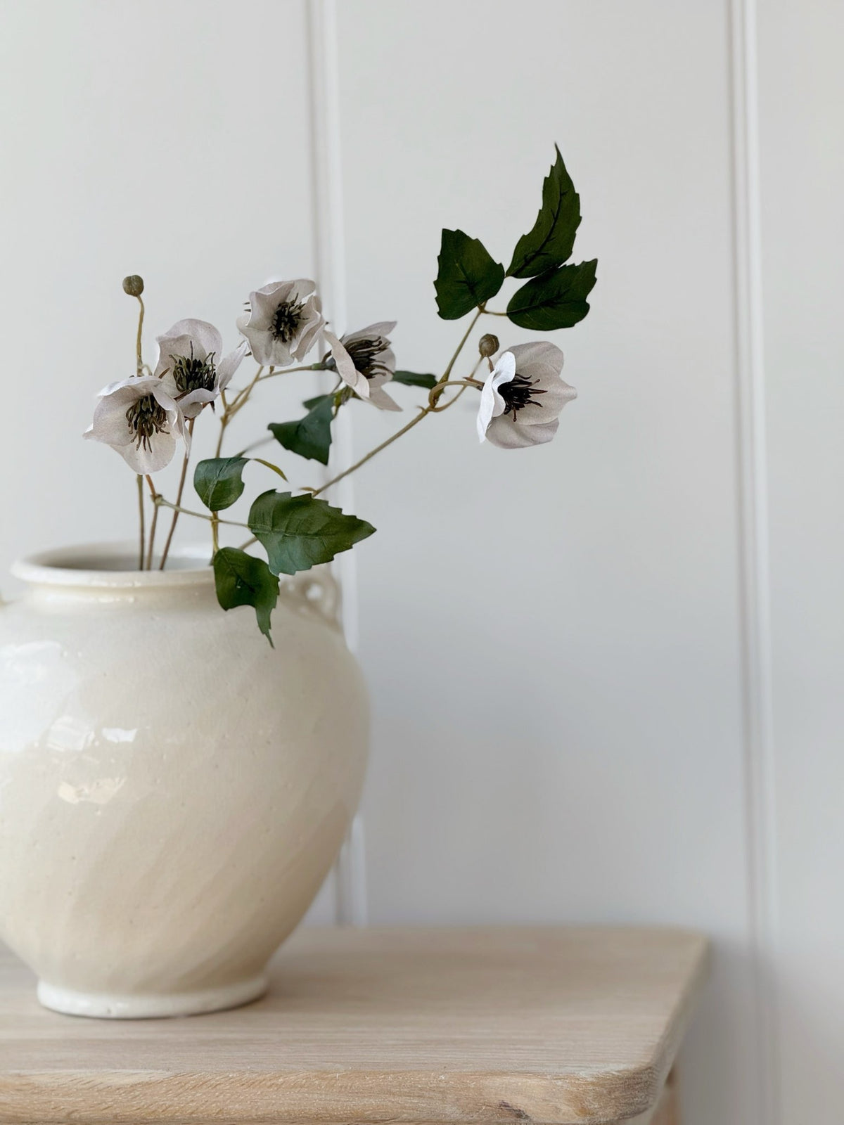 Hellebore Stem