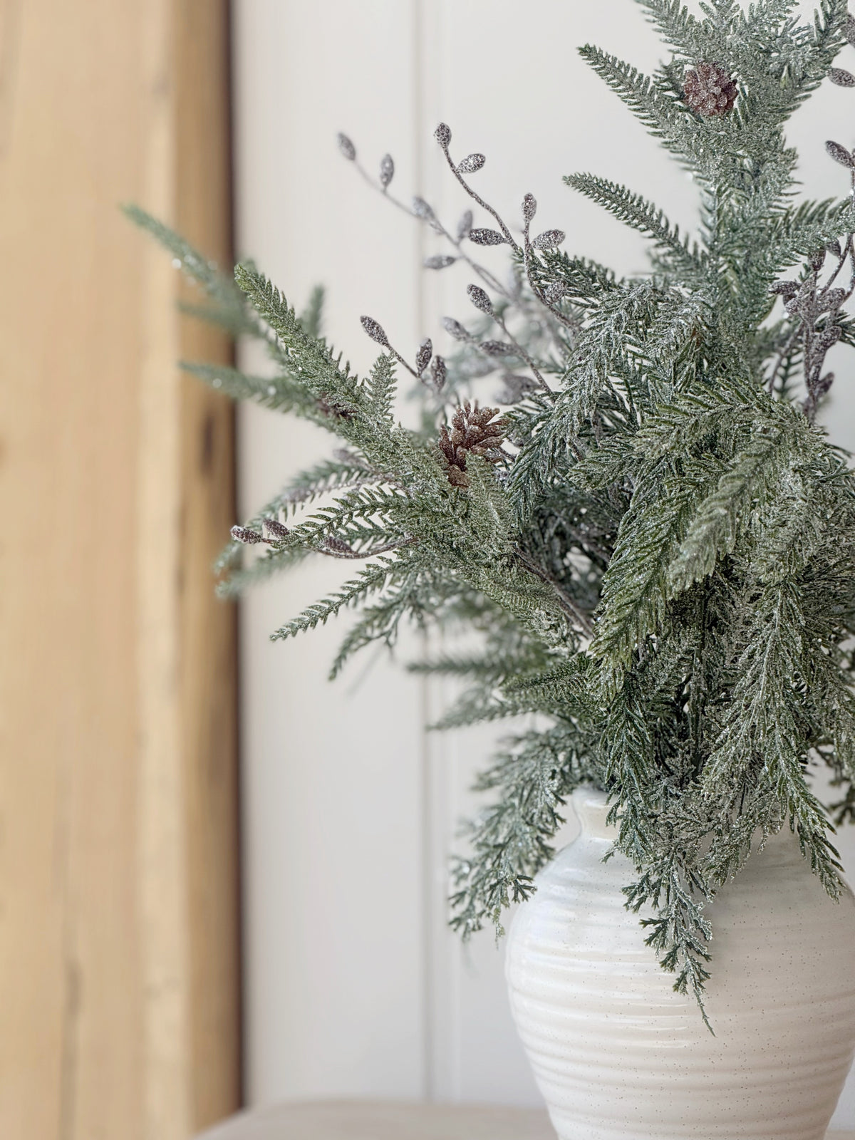 Sparkle Pine In Pot