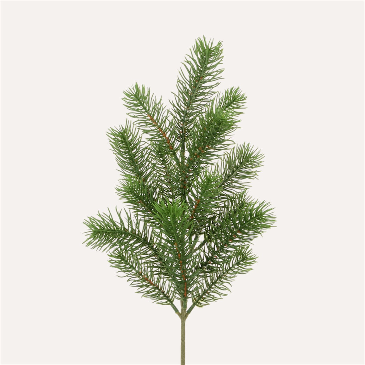 Bayberry Pine Spray