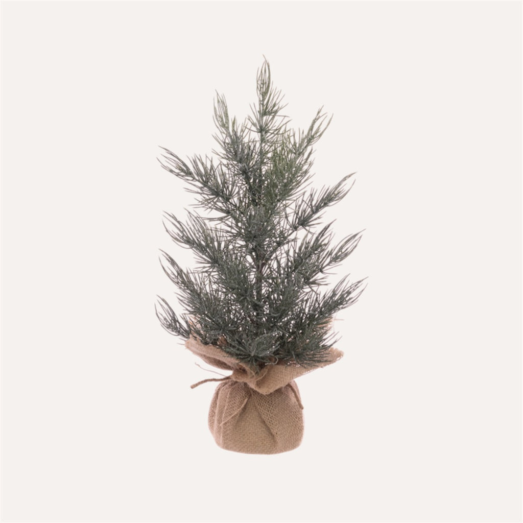Frosted Pine Tree