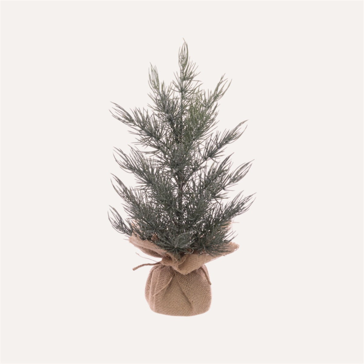 Frosted Pine Tree