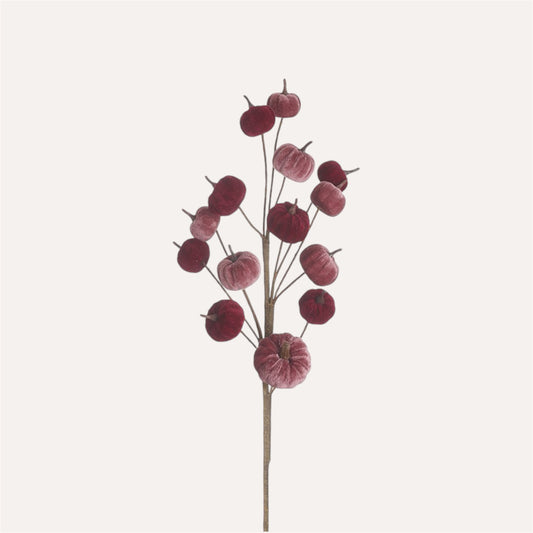 Velvet Pumpkin Stem