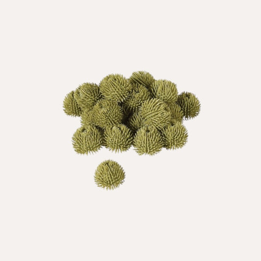 24 Green Echinops Balls