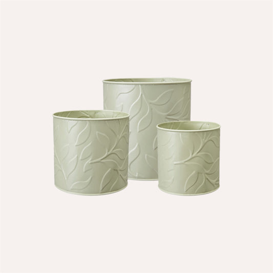 Sage Leaf Planter