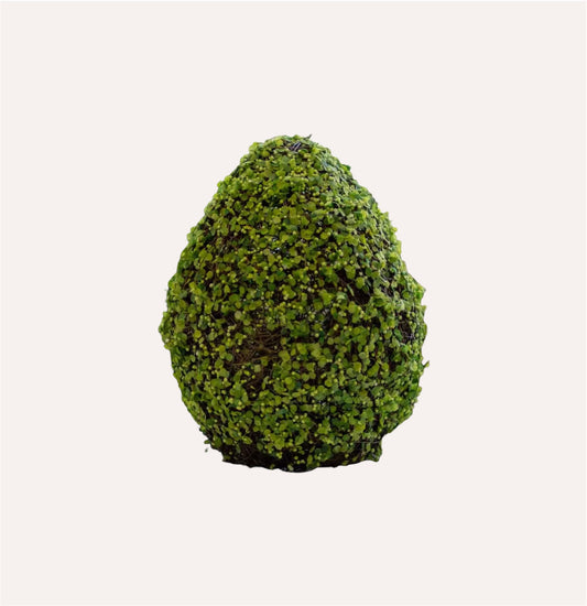 Large Moss Effect Egg