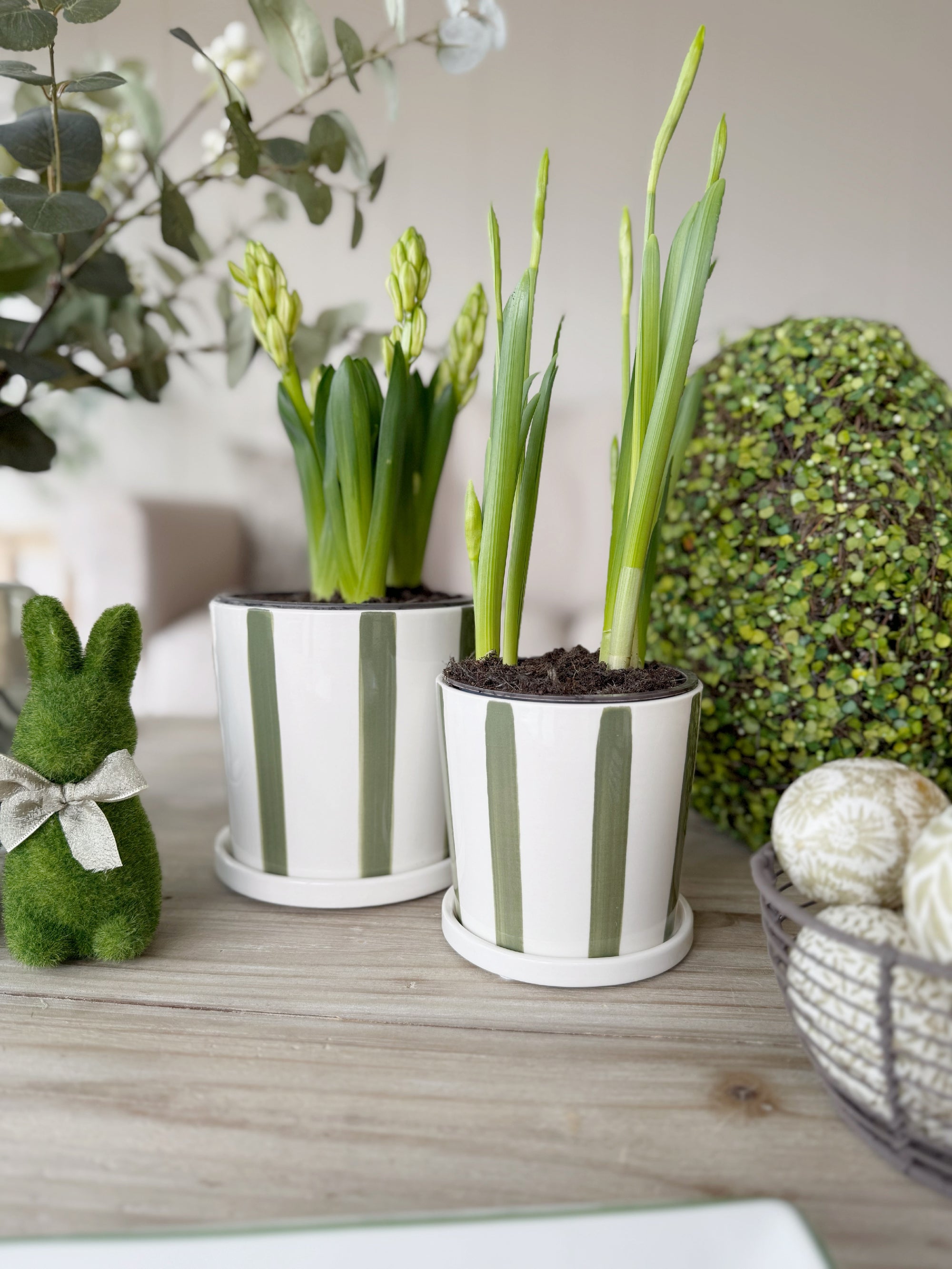 Striped Green Planter With Saucer