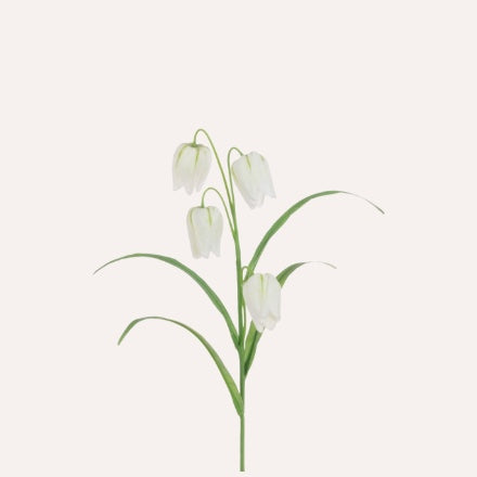 White Fritillaria Spray