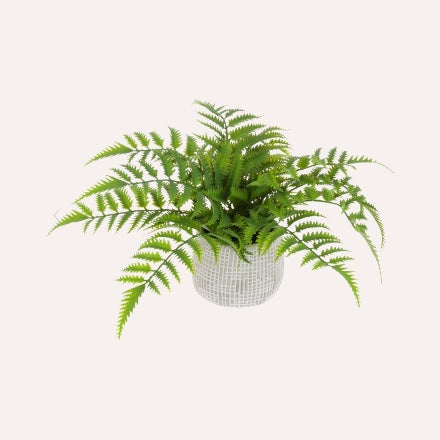 Potted Faux Fern