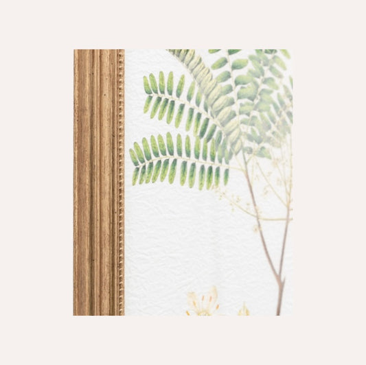 Set Of 4 Framed Ferns