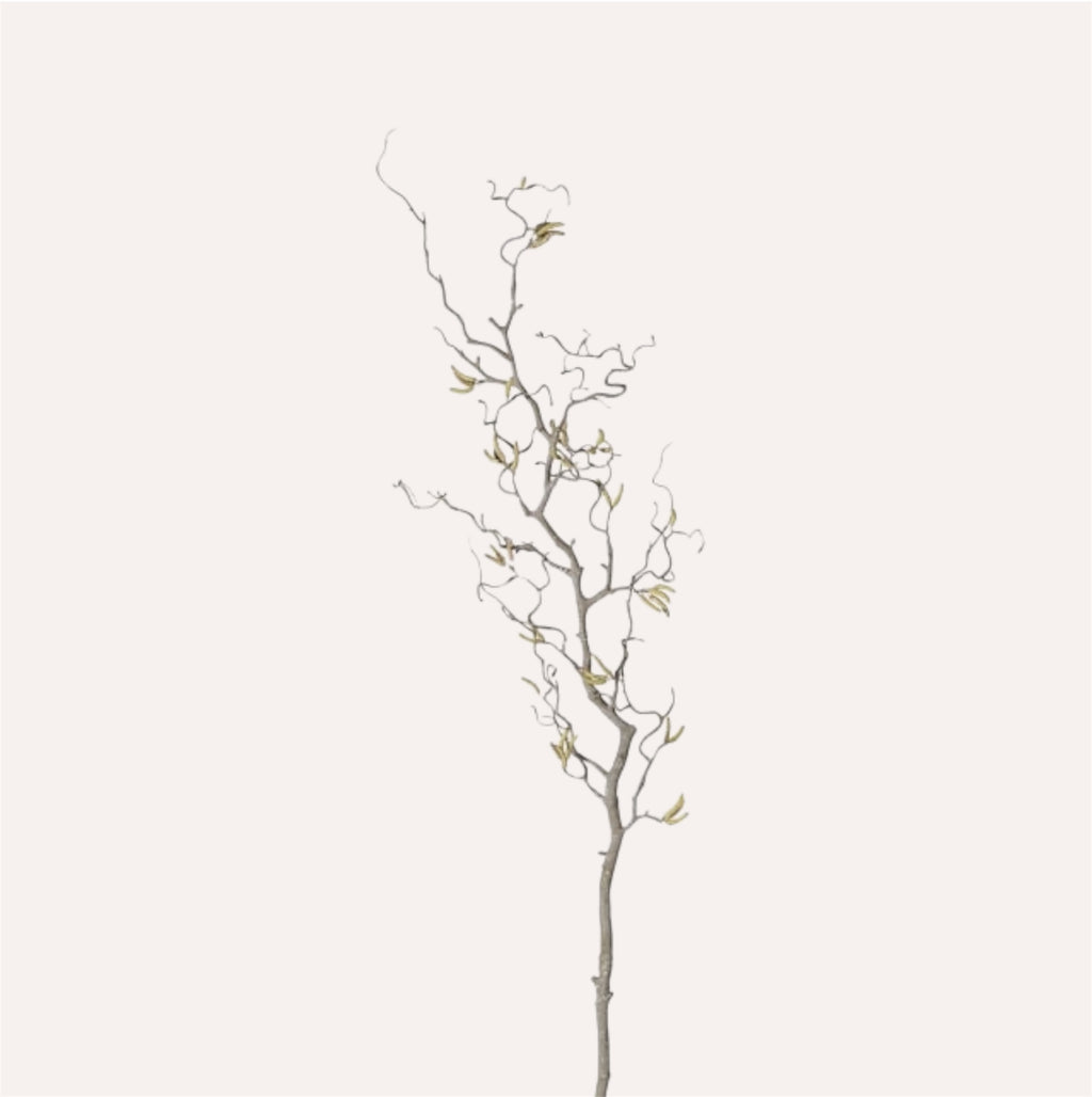 Willow Branch