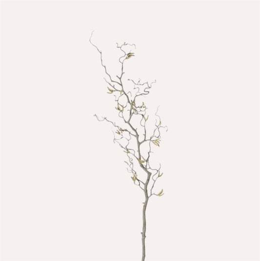 Willow Branch