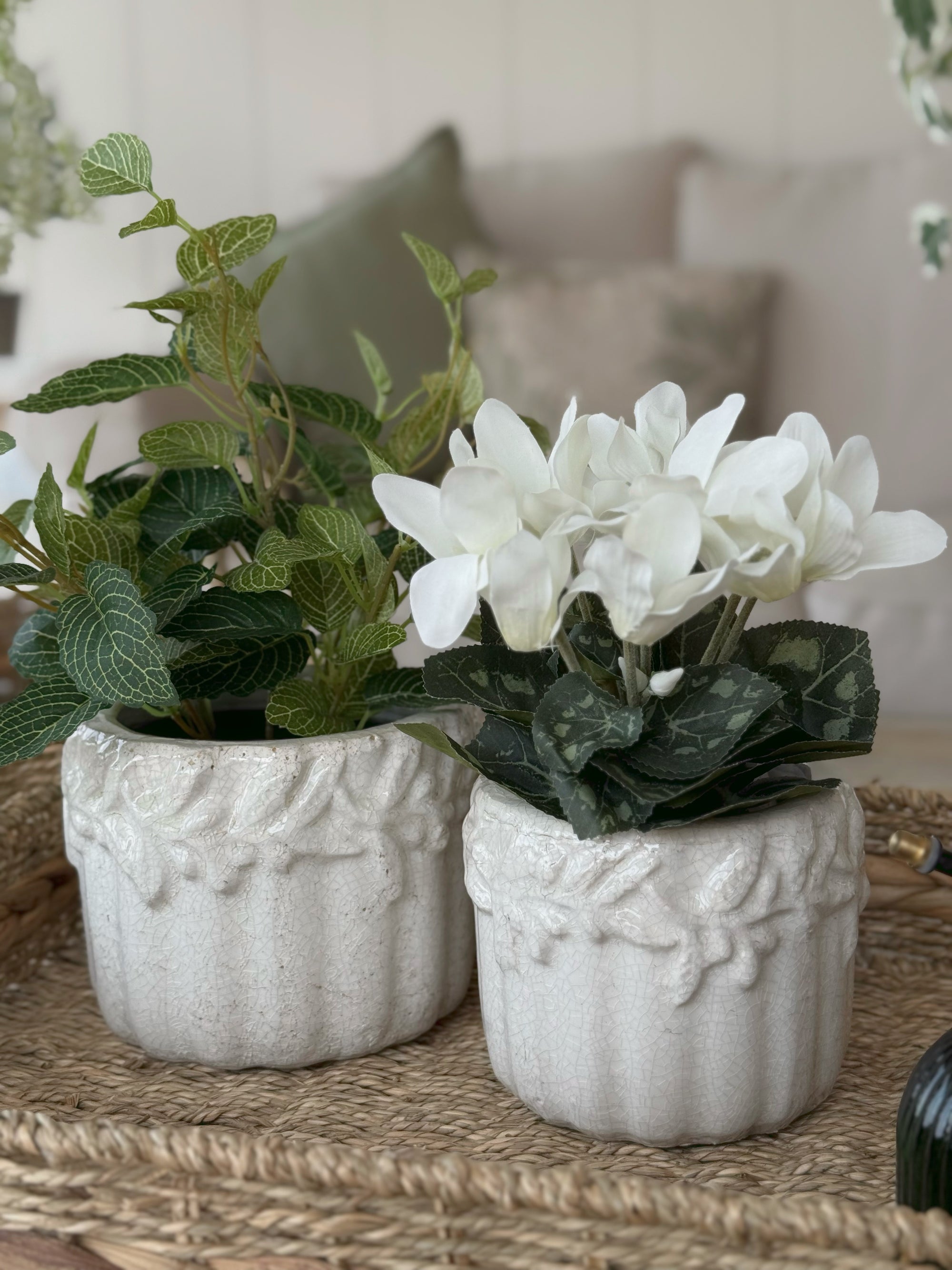 Medium Cetara Pot