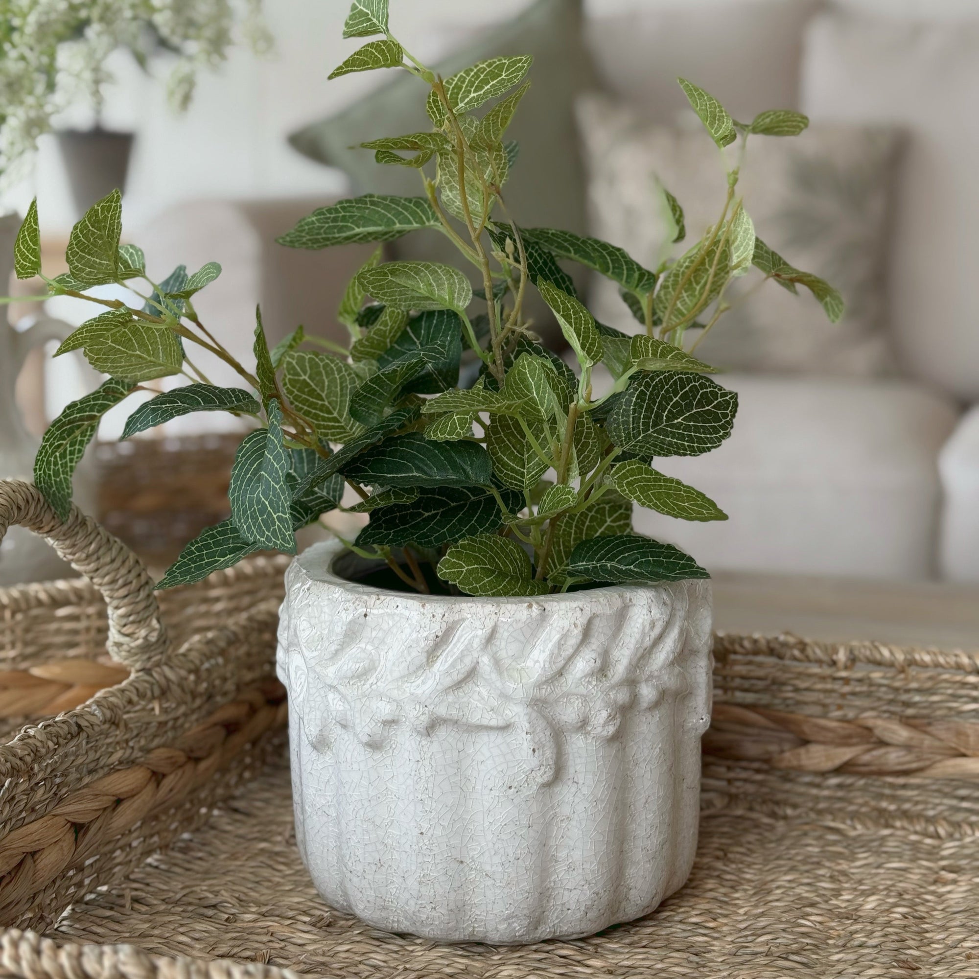 Medium Cetara Pot