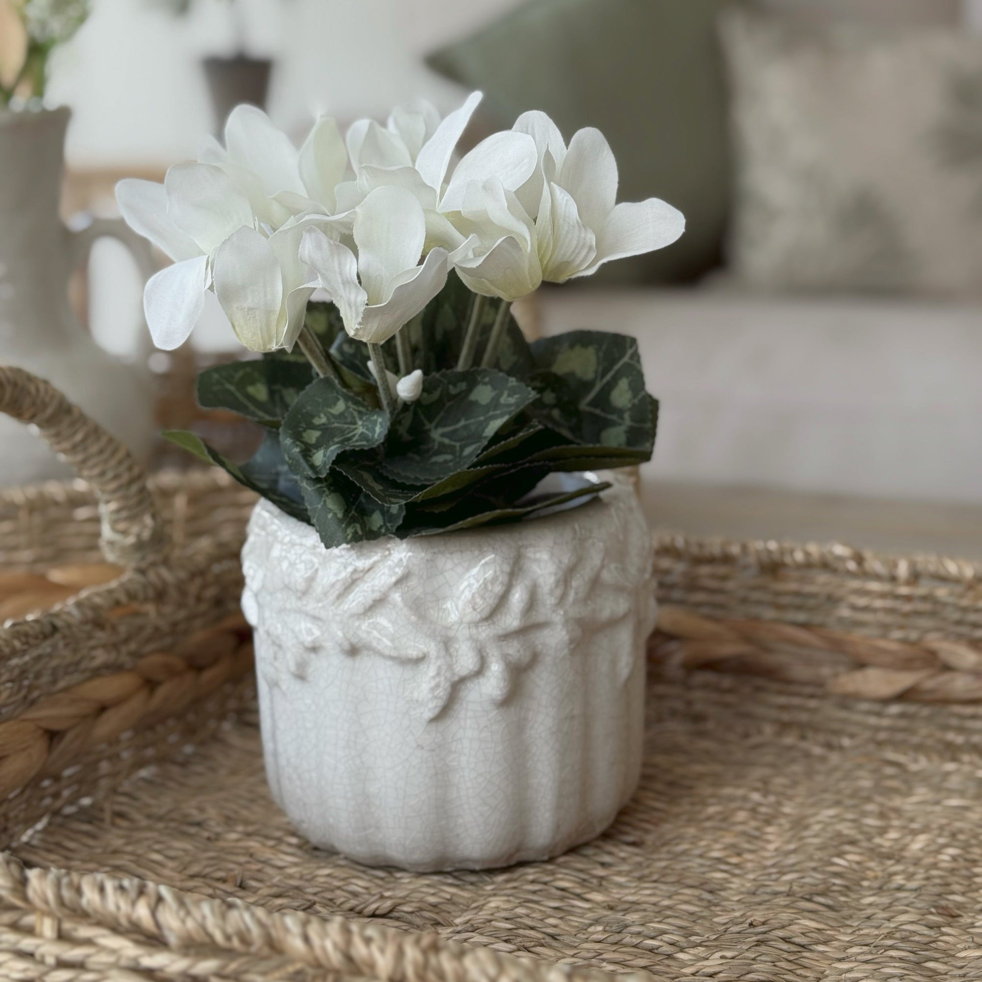 Small Cetara Pot