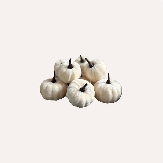 12 Mini White Pumpkins