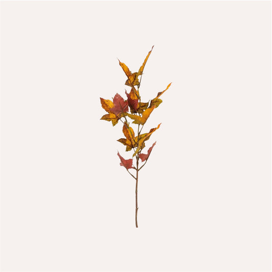 Autumn Maple Stem