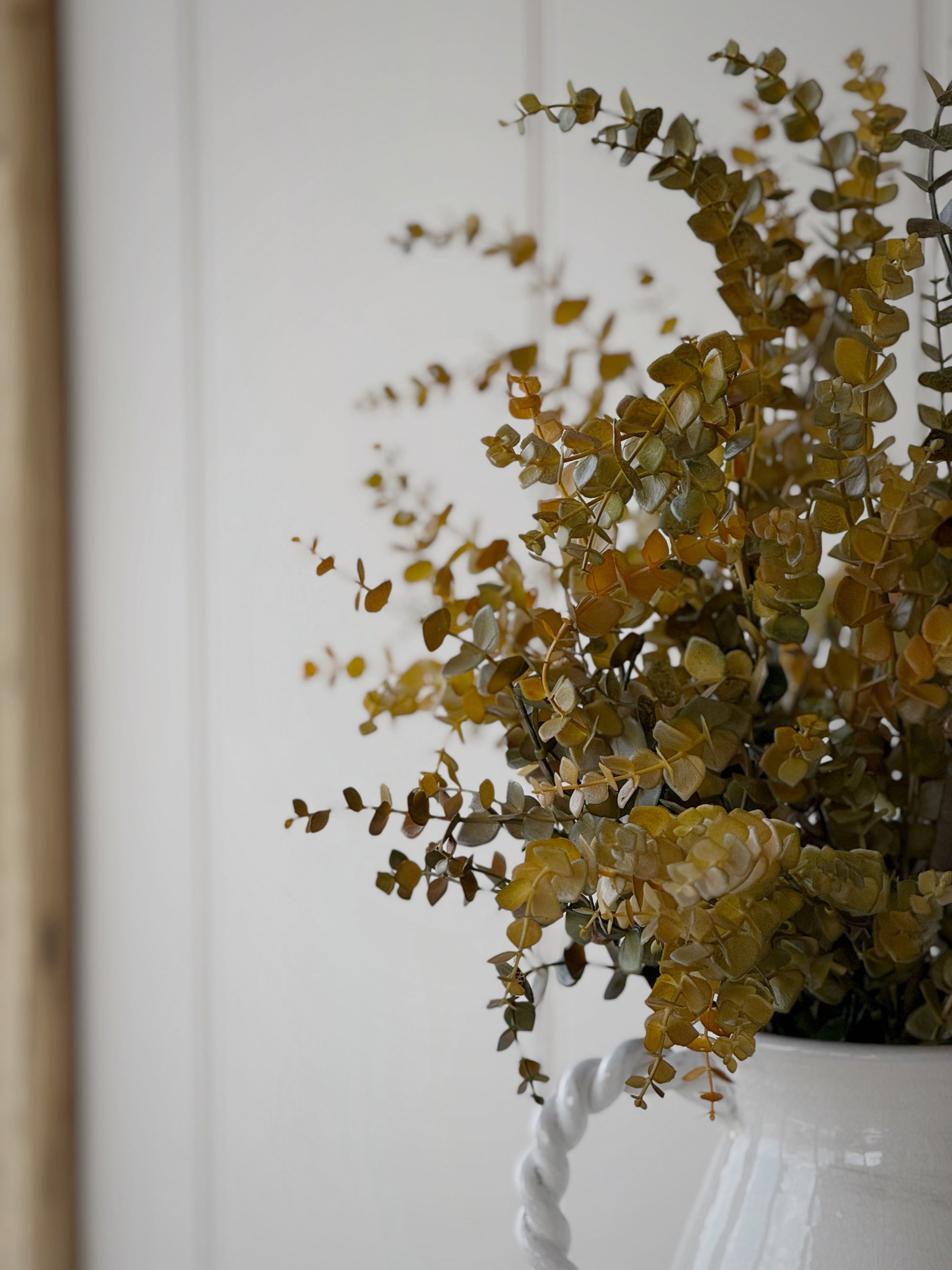 Autumnal Eucalyptus Stem