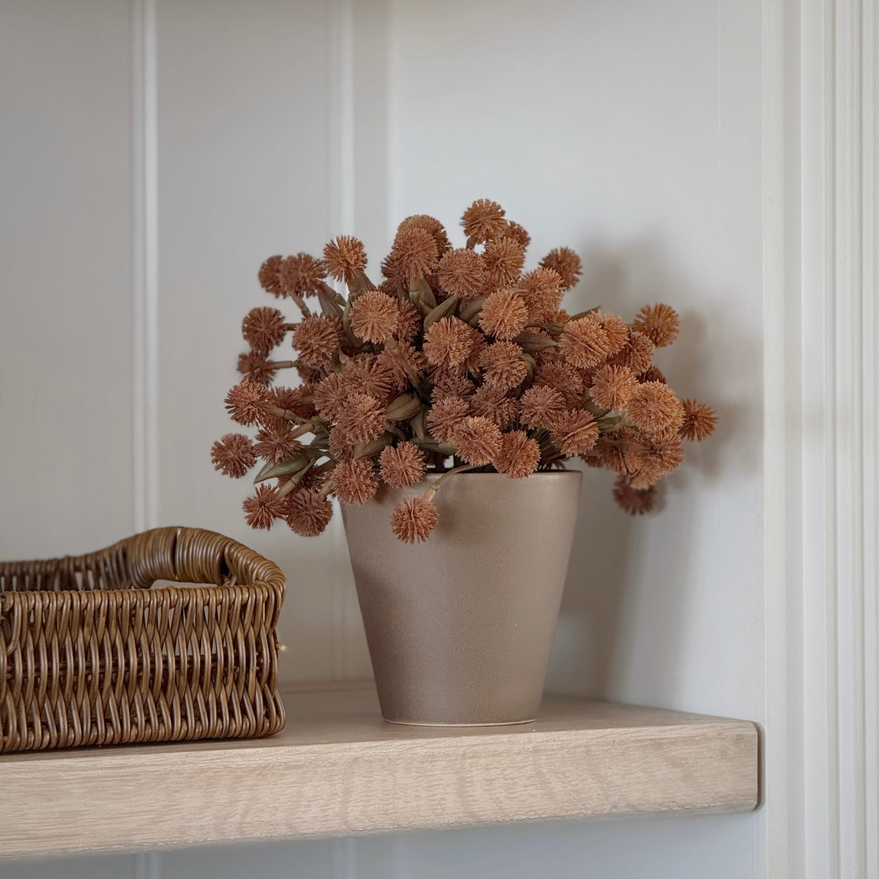 Allium Plant In Ceramic Pot