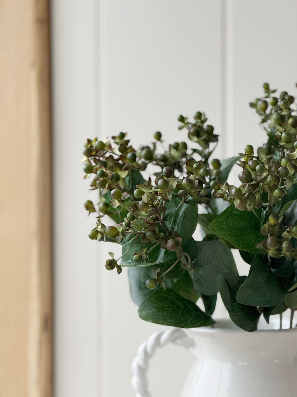 Hypericum Stem