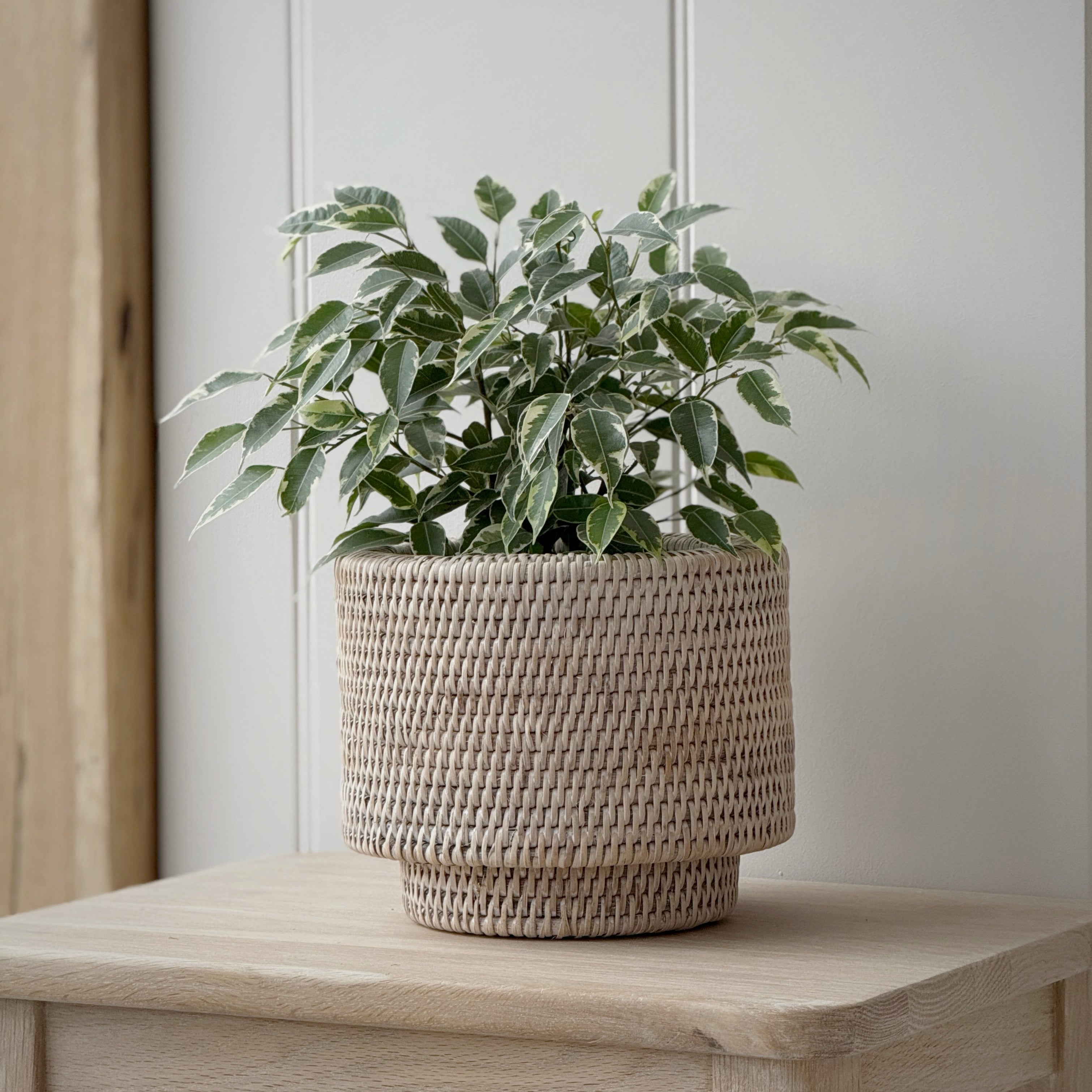 Rattan Planter With Liner