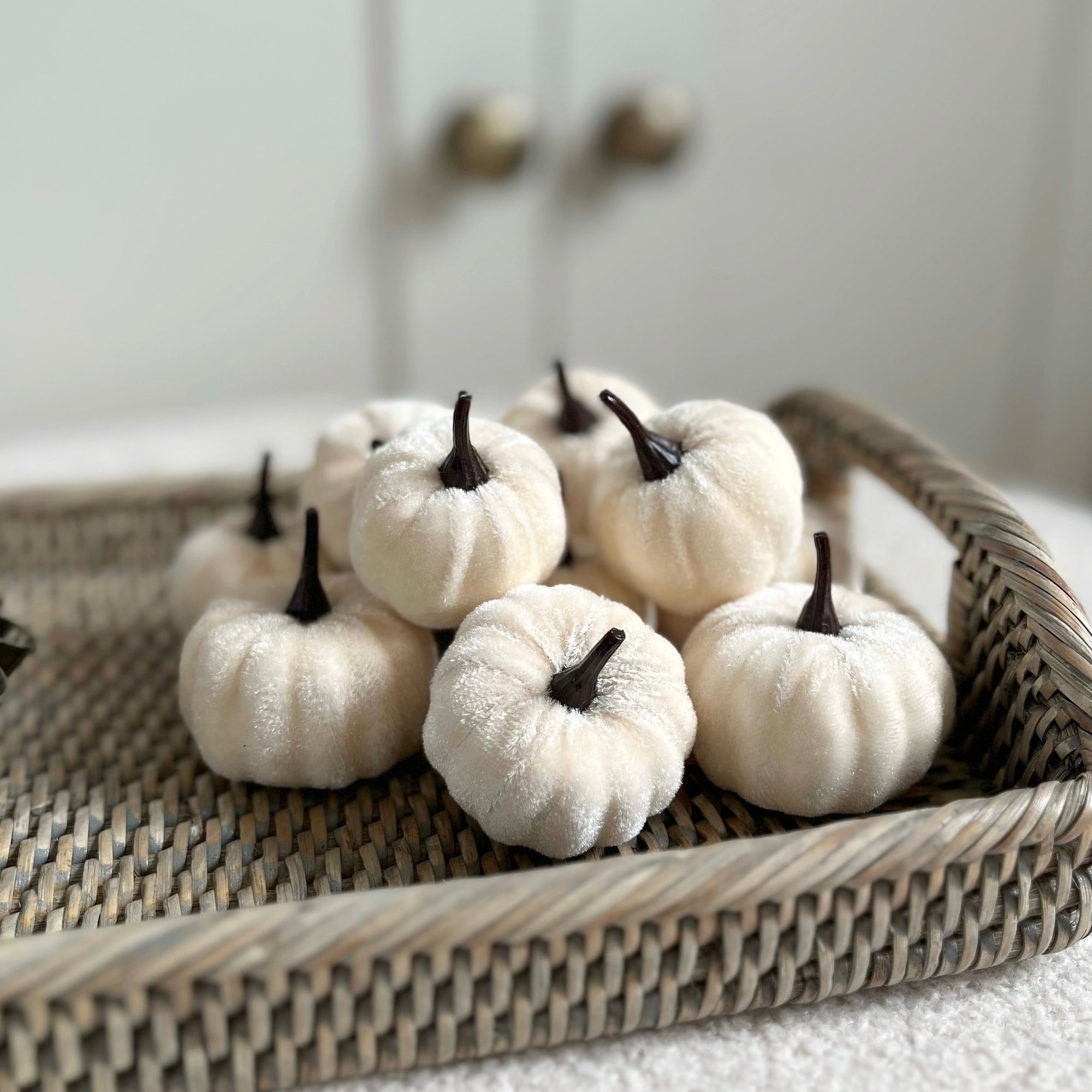 12 Mini White Pumpkins