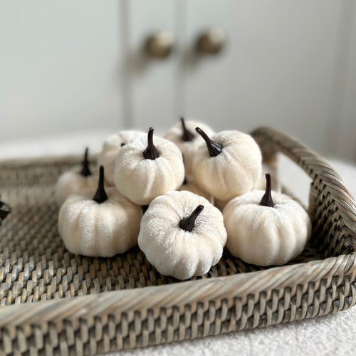 12 Mini White Pumpkins