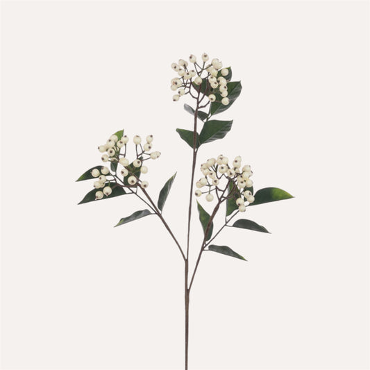 Berry Stem