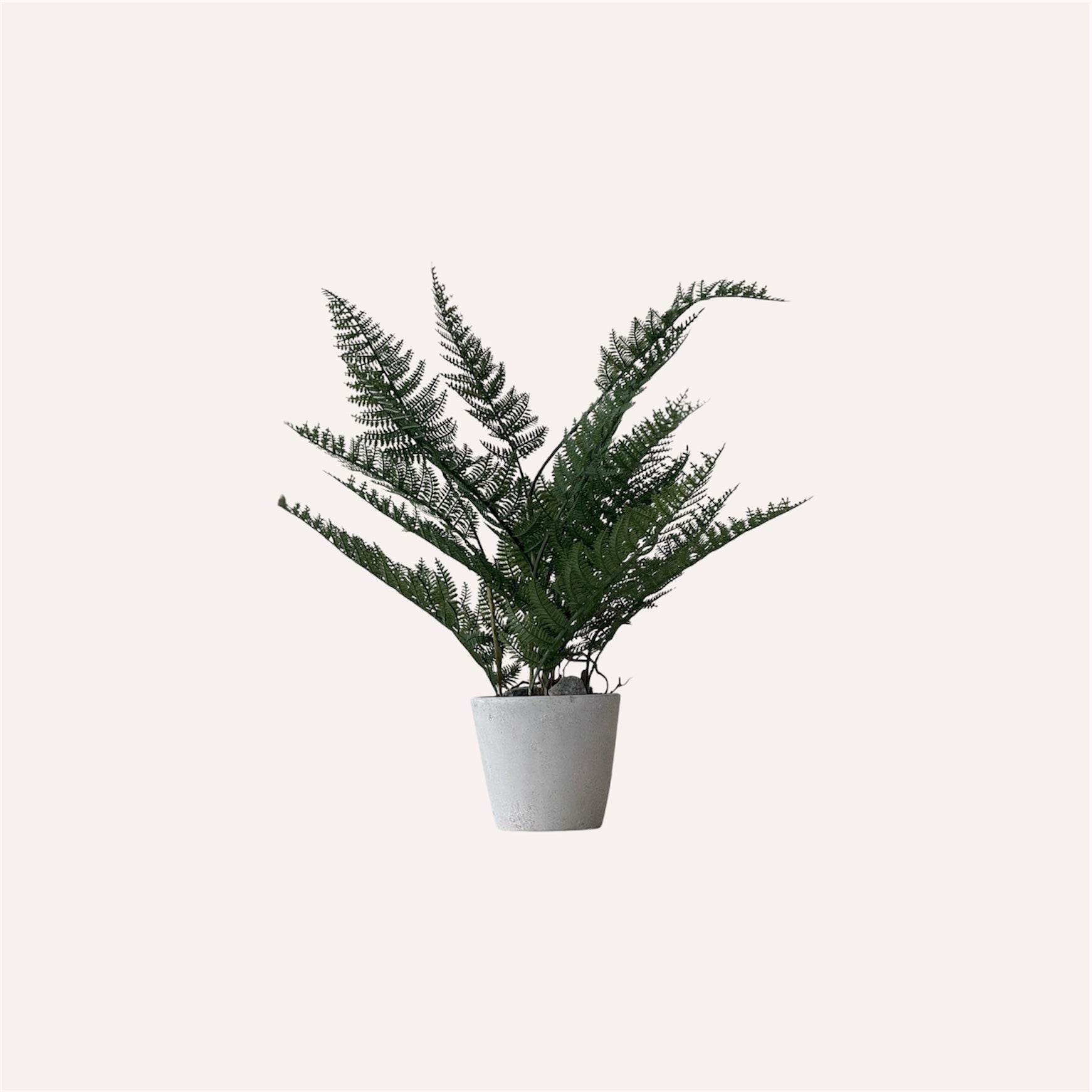Bracken Fern Plant Pot