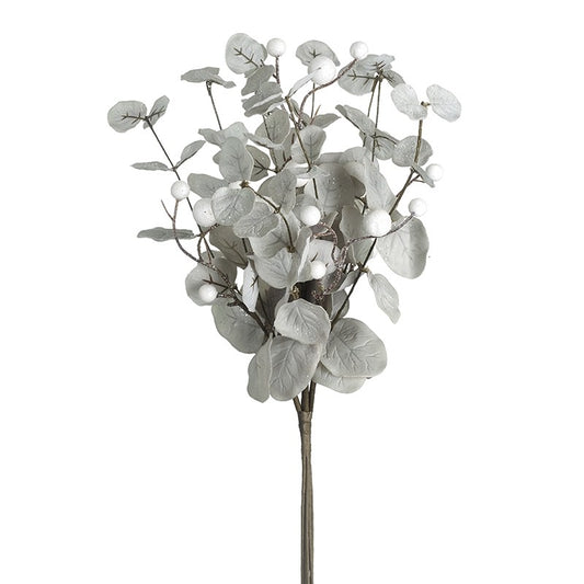 Eucalyptus & White Berry Bunch