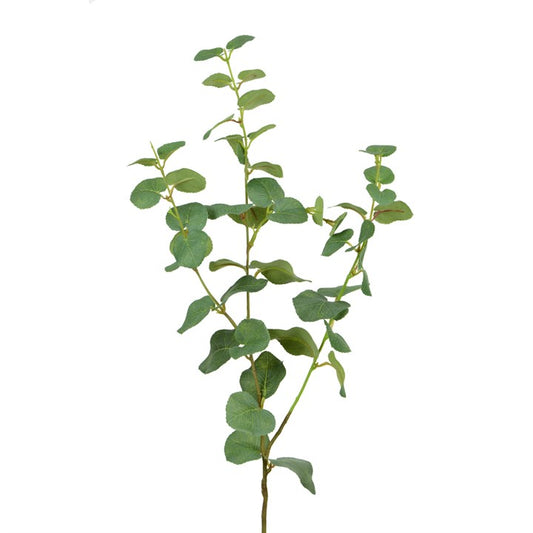 Eucalyptus Stem 76cm
