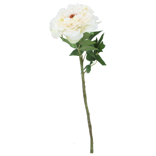 White Frilly Peony Stem