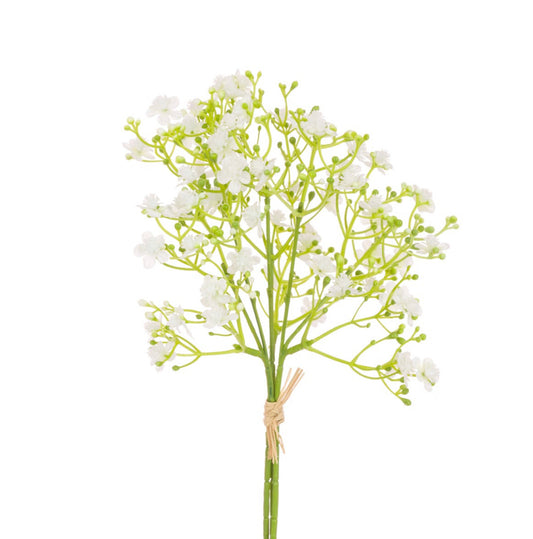 Gypsophila Bouquet