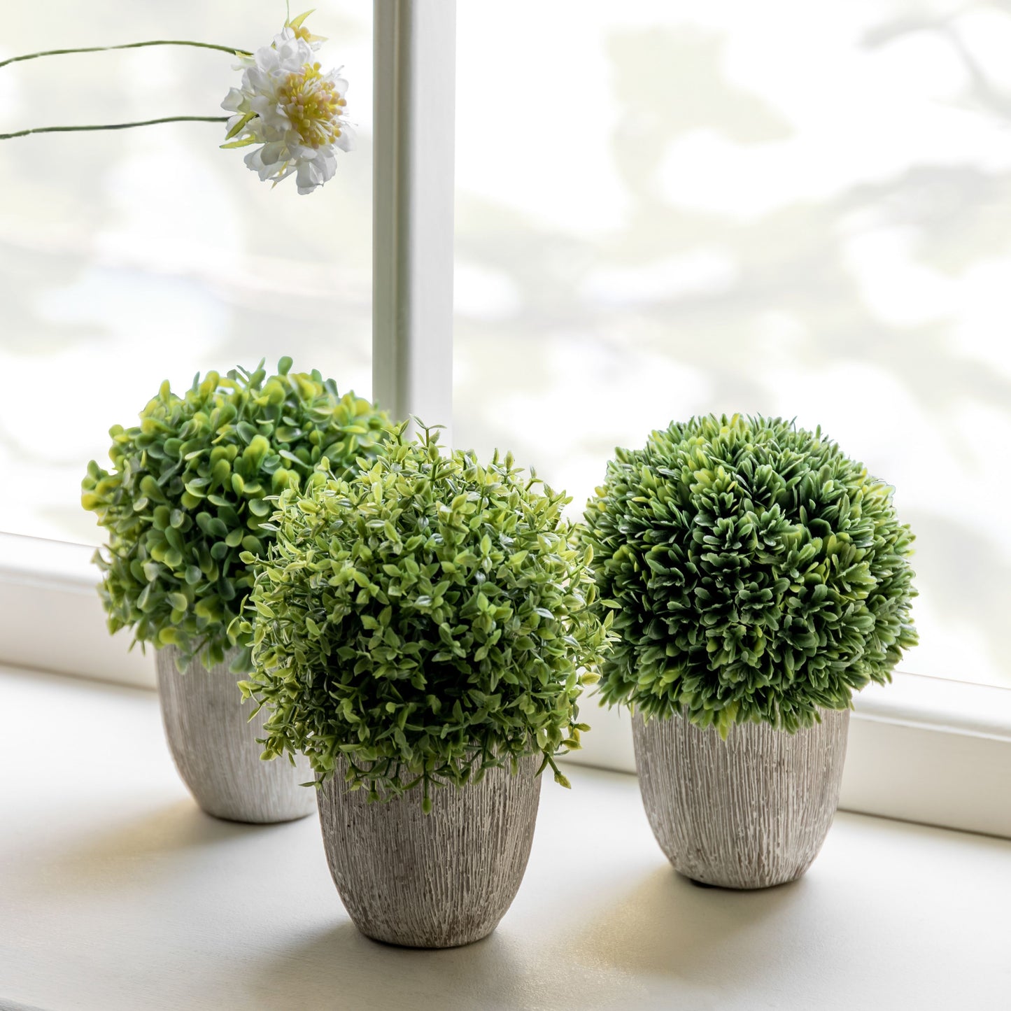 Set Of 3 Potted Green Topiary